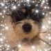 Lisa Edward - Facebook