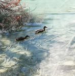 Lisa Egger - Facebook