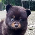 Lisa Egger - @xx_lisa_99 - Instagram