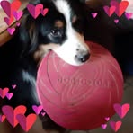Lisa Egger - Facebook