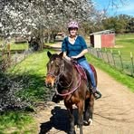 Lisa Ehrlich - Facebook