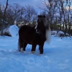 Lisa Eicher - Facebook