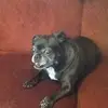 Lisa Eicher Julian - @lisa.eicher.julia - TikTok