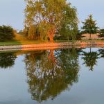 Lisa Ulmer Eichler - @limiei - Instagram