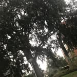 Lisa Van Eiken - @lisa_eikenx - Instagram