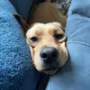 Lisa Eisemann - @lisaeisemann - TikTok