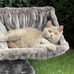 Lisa Lauer - Facebook