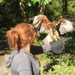 Lisa Marie Lattanzi Eisemann - @lisaeisemann - Instagram