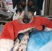 Lisa Elder - Facebook