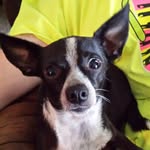 Lisa Embry Kluck - @klucklisal - Instagram