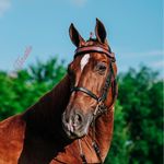 Lisa Putman Enfinger - @enfinger.lisa - Instagram