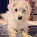 Lisa Ensign - @ecmarie - Instagram