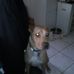 Lisa Ensign - Facebook