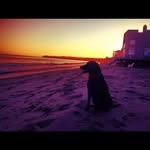 Lisa Epps - @viczdistaxelcire35 - Instagram