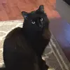 Lisa Escobar - @kittyspookyjim - TikTok