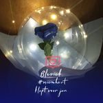 Lisa Esteves - @lisa.esteves.90 - Instagram