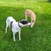 Lisa Ethington - Facebook