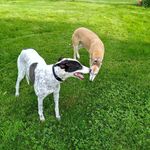 Lisa Ethington - @ethington4594 - Instagram
