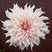 Lisas Odling - Facebook