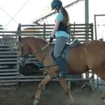 lisa euler - @tebby_mein_rennpony - Instagram