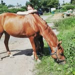 Lisa Euler - @tabby_maus_ - Instagram