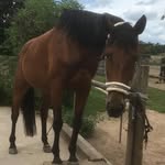 lisa - @lisae_uler - Instagram