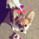 lisa ewers - @lisaewers53 - Instagram