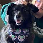 Lisa - @lisa.ewertz - Instagram