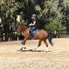Lisa01 - @lisa.jane.fehrmann - TikTok