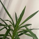 Lisa Feil - @feil.lisa1 - Instagram
