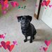 Lisa Ferrell - Facebook