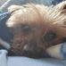 Lisa Ferrell - Facebook