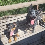 Lisa Ferrell - @lisa.ferrell.5 - Instagram