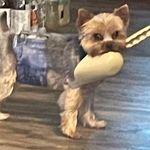 Lisa Rees Filzen - @lfilzen - Instagram