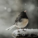Lisa Finney - @lisafinneyphotography - Instagram