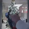 Lisa Finney - @lisa.finney0 - TikTok