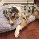 Lisa Firestone - @timeforarun - Instagram