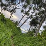Lisa Fontes - @foreverfontes - Instagram