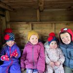 Lisa Anne Fordham - @fordham6365 - Instagram