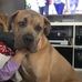 Lisa Forget - Facebook