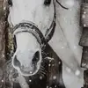 lisaforget2 - @lisa.forget - TikTok