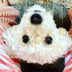 Lisa Fransen - @lfransen1970 - Instagram