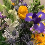 Lisa freda - @wanderinggardener_ - Instagram
