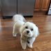 Lisa Freda - Facebook