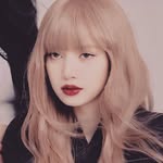 lisa gallery - @lisacbp_ - Instagram