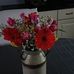 Lisa Ganser - Facebook