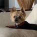 Lisa Garren - Facebook