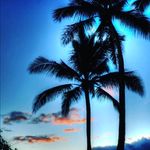 Lisa Gärtner - @gartner6479 - Instagram