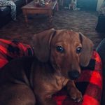 Lisa Gatlin - @lisagatlin7782 - Instagram