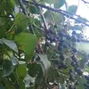 lisagatton575 - @lisagatton575 - TikTok